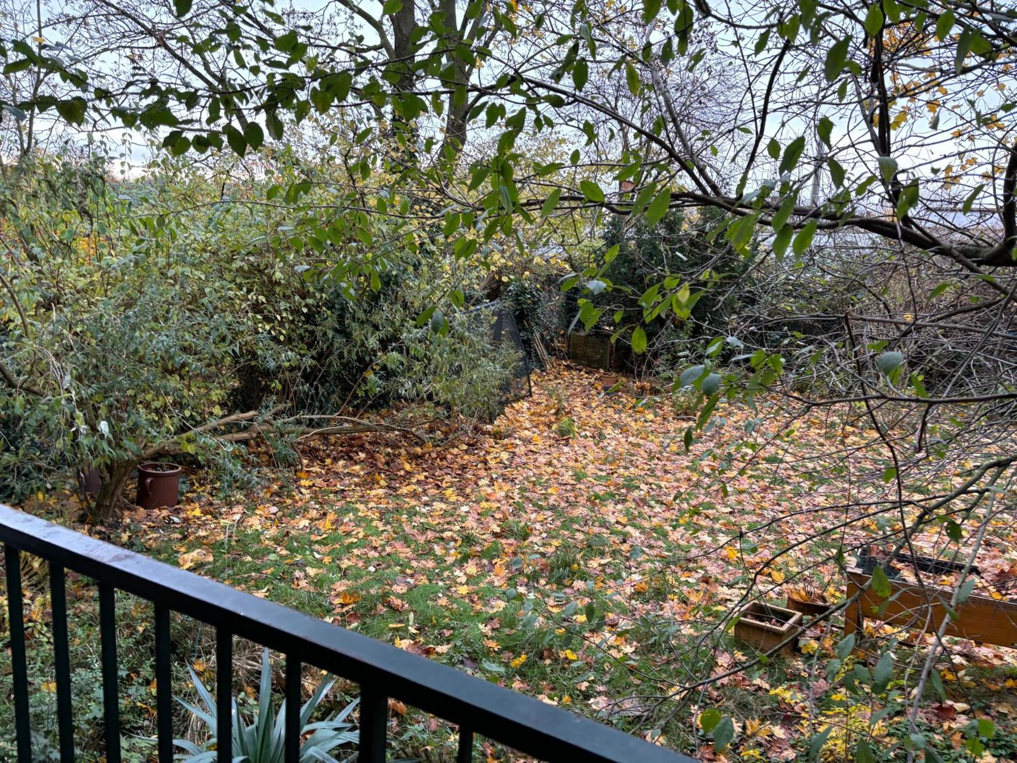 Apartamento 4 Min Naehe Von Hbf Und Dom Mit Garten ,balkon & Office